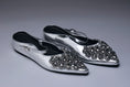 Load image into Gallery viewer, Silver Radiance Muse Flats