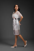 Load image into Gallery viewer, White Sheer Top With Silver Skirt