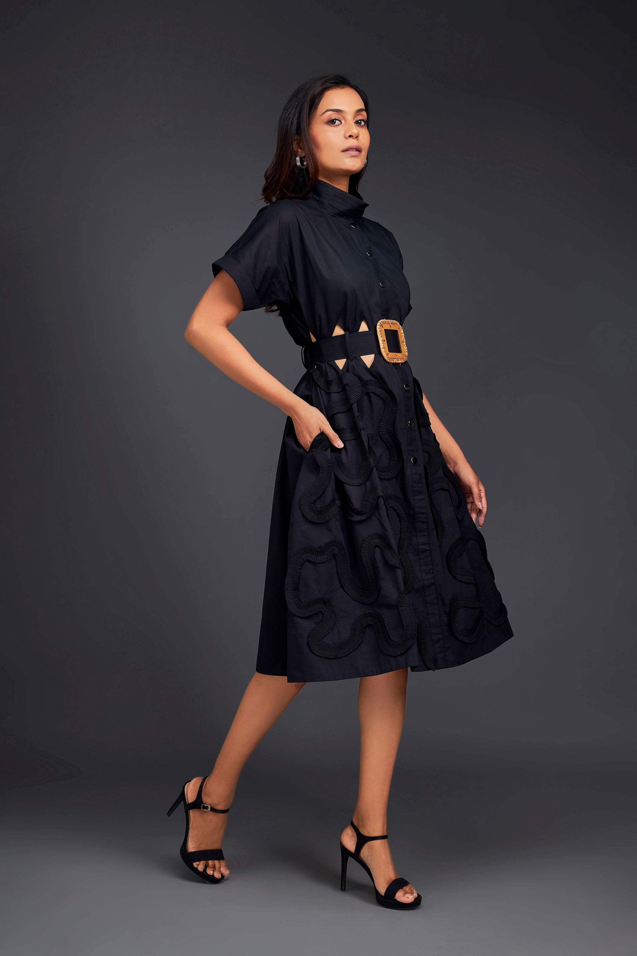 A-line Button Down Dress With Waist Cutouts Comes With Belt